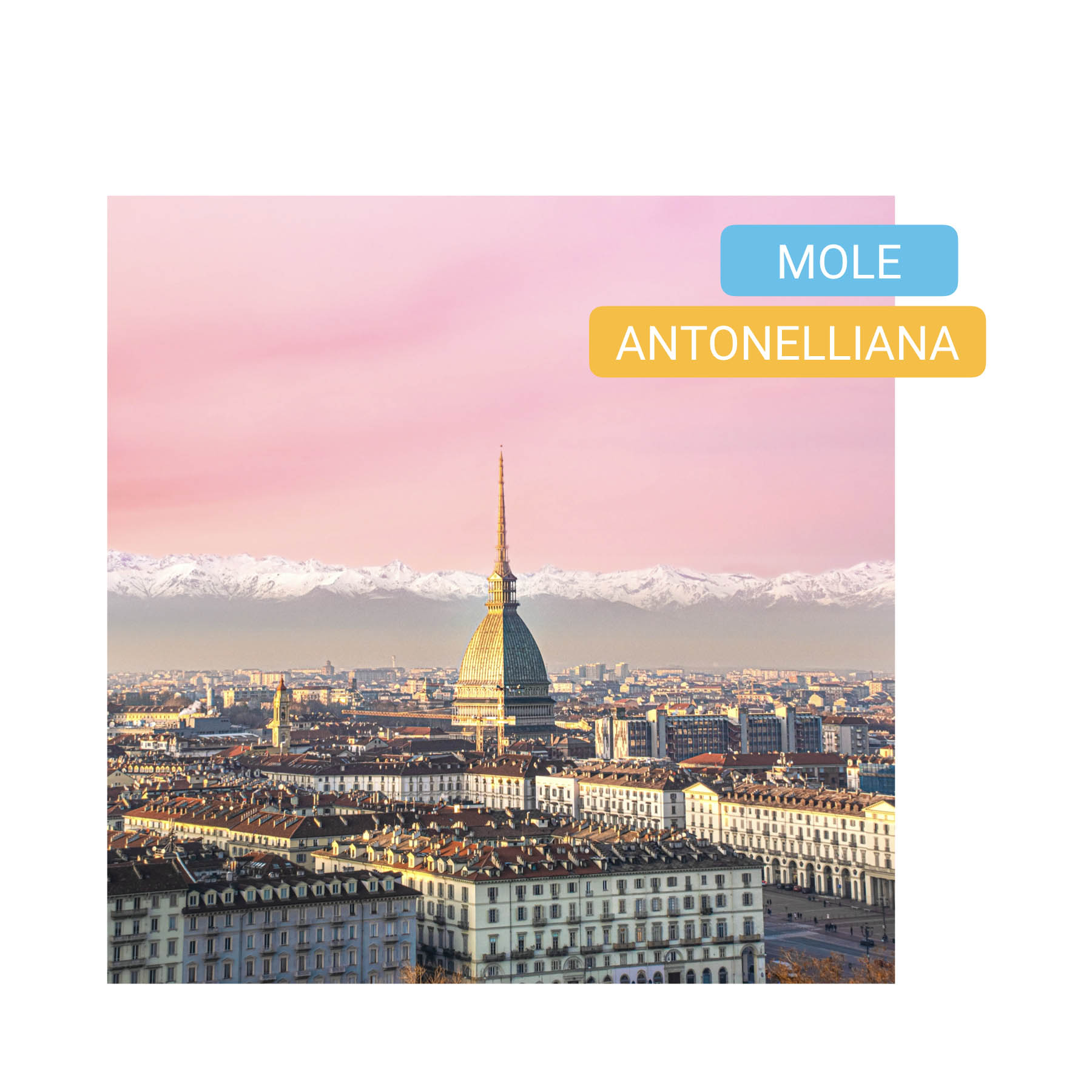 mole antonelliana torino bike tour turin